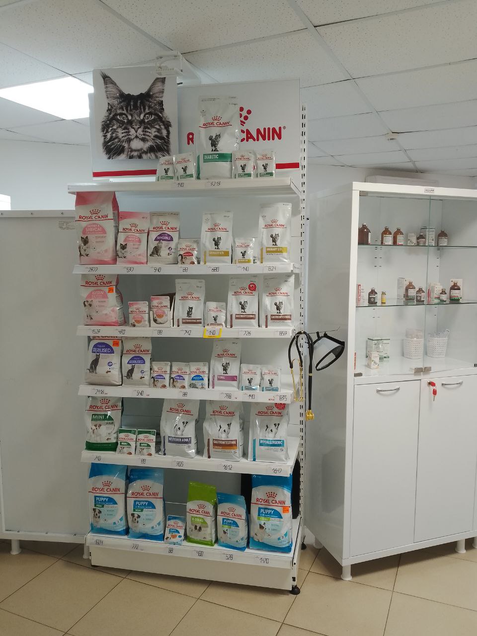 Корма Royal Canin
