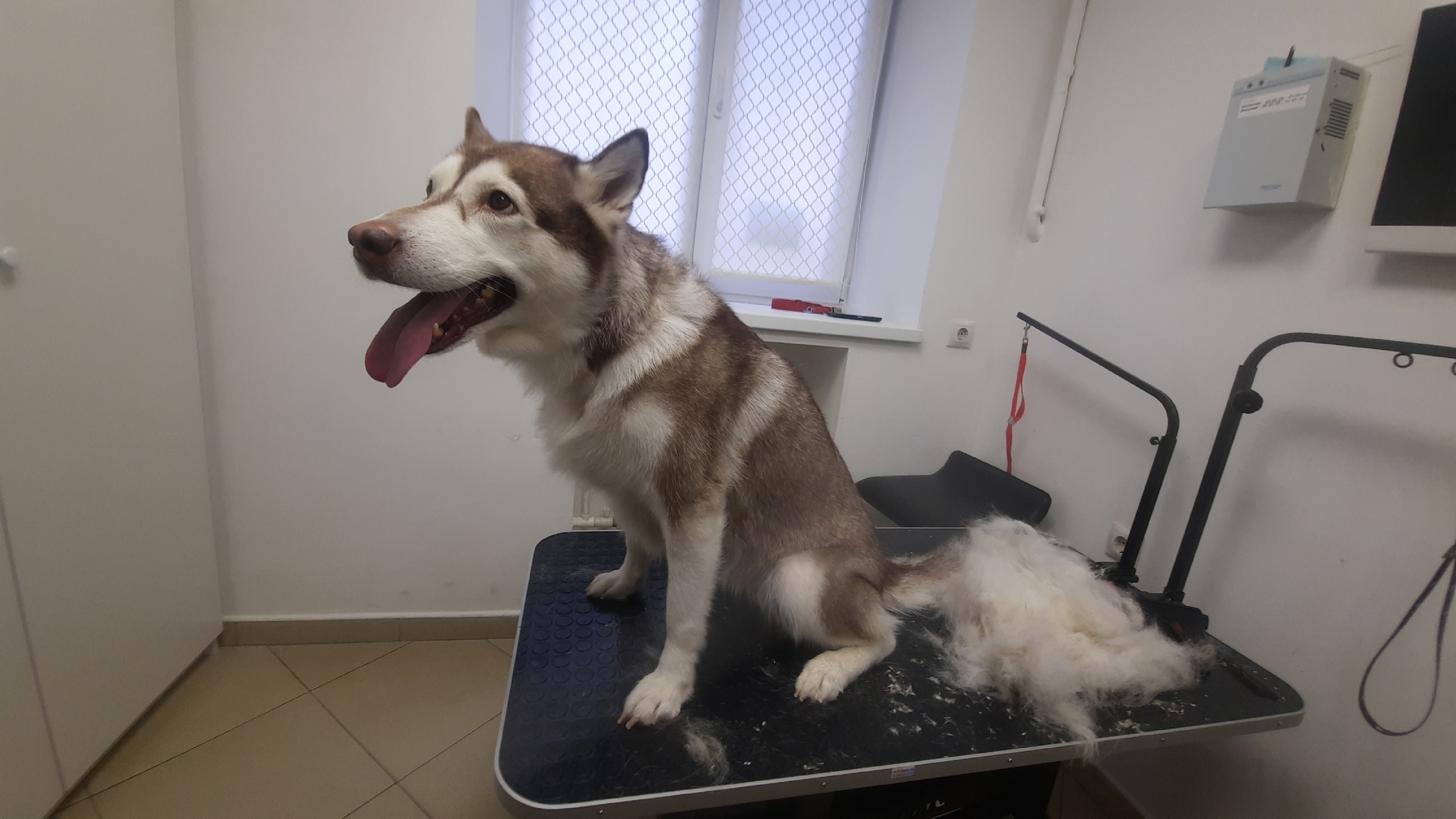 IwXu2NwD_ejKF3I90aroFphhY3mFn7vFsOc7h4y593X9gewhjMxzUPRMT6JjrGEdzY8rA0WNBrLhMd07jgyCU63_