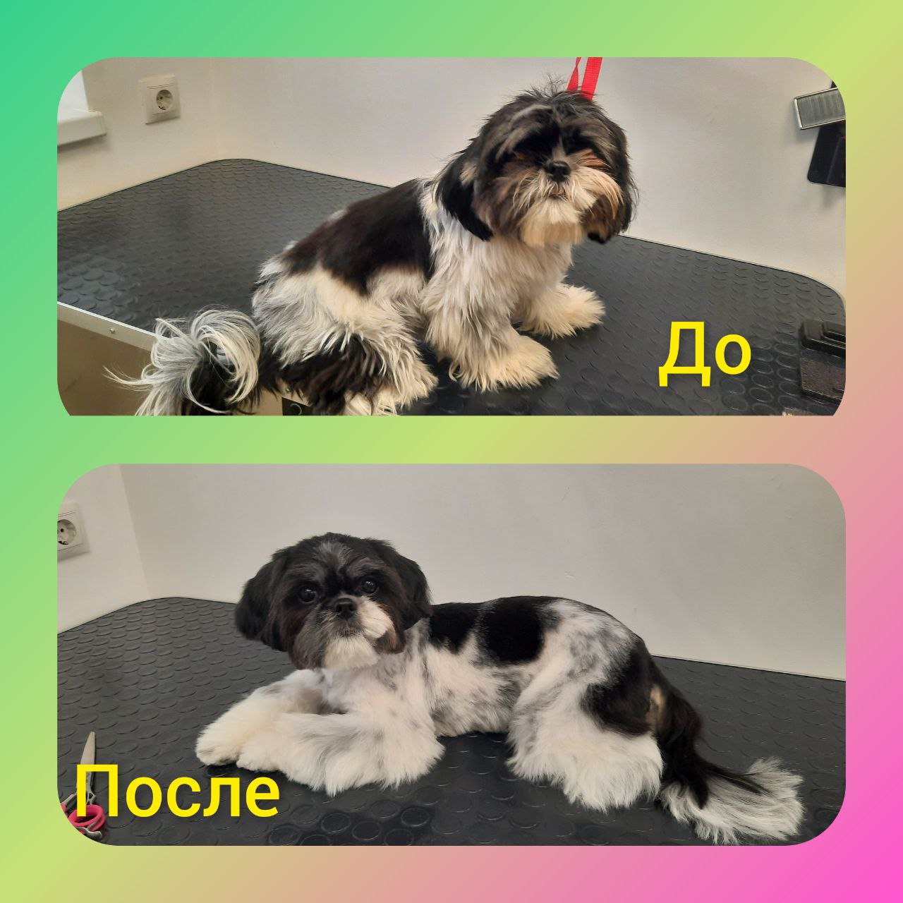 photo_2026-01-28_23-24-54